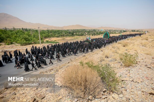 آیین عزاداری و نخل برداری روز عاشورا در روستای علی آباد تفت
