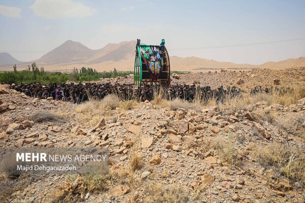 آیین عزاداری و نخل برداری روز عاشورا در روستای علی آباد تفت