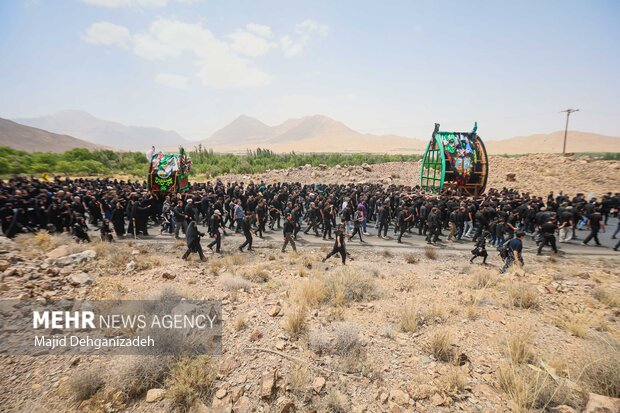آیین عزاداری و نخل برداری روز عاشورا در روستای علی آباد تفت