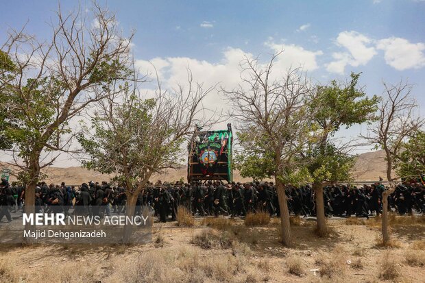 آیین عزاداری و نخل برداری روز عاشورا در روستای علی آباد تفت