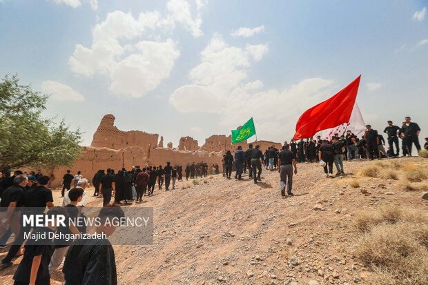 آیین عزاداری و نخل برداری روز عاشورا در روستای علی آباد تفت