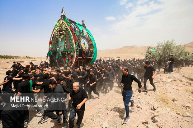 آیین عزاداری و نخل برداری روز عاشورا در روستای علی آباد تفت