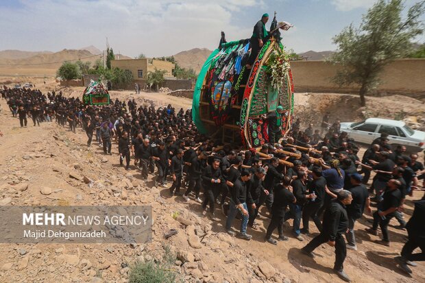 نخلگردانی در حسینیه شاهولی تفت