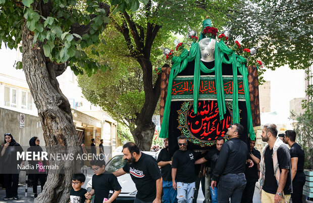 نخل‌گردانی روز عاشورا در تکیه چالِ دولاب