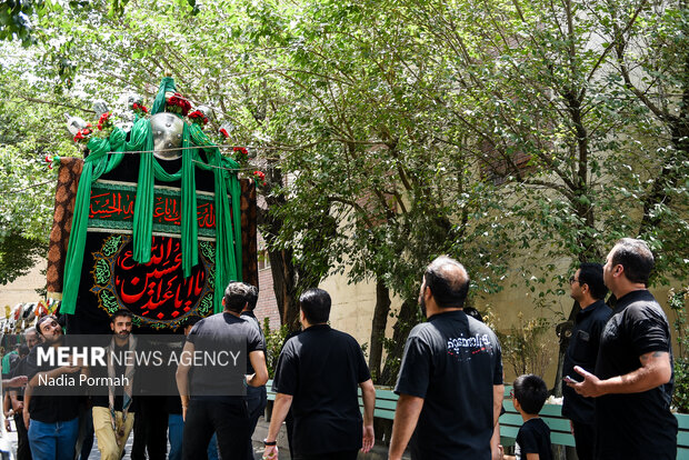 نخل‌گردانی روز عاشورا در تکیه چالِ دولاب