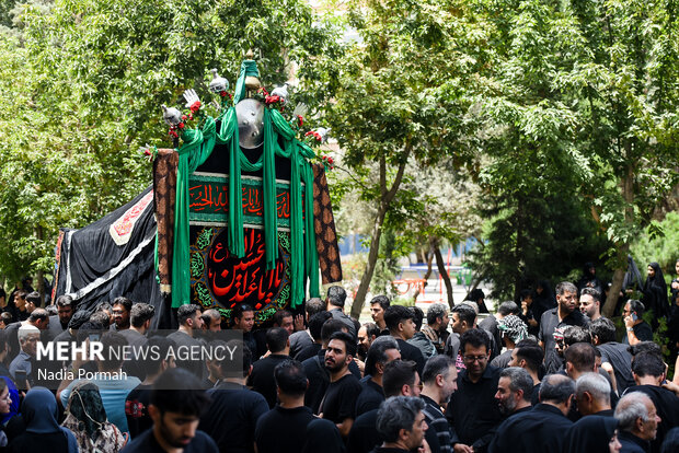 نخل‌گردانی روز عاشورا در تکیه چالِ دولاب