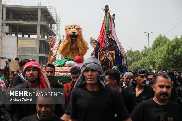«شیر و کُتل» رسم ۴۰۰ ساله مینابی‌ها در روز عاشورا
