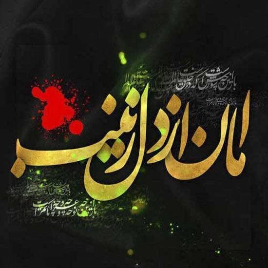 حماسه عاشورا در وجدان آزادگان جهان جاودانه  شد