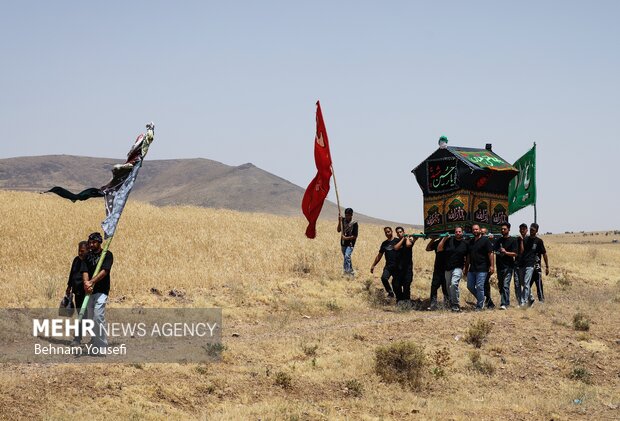 آیین سنتی نخل‌گردانی در روستای ساکی
