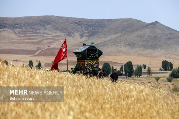 آیین سنتی نخل‌گردانی در روستای ساکی