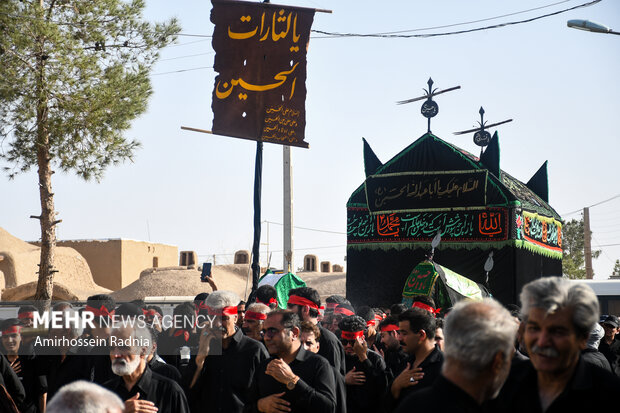 آیین سنتی «بیل زنی» و «نخل گردانی» شهرستان خوسف