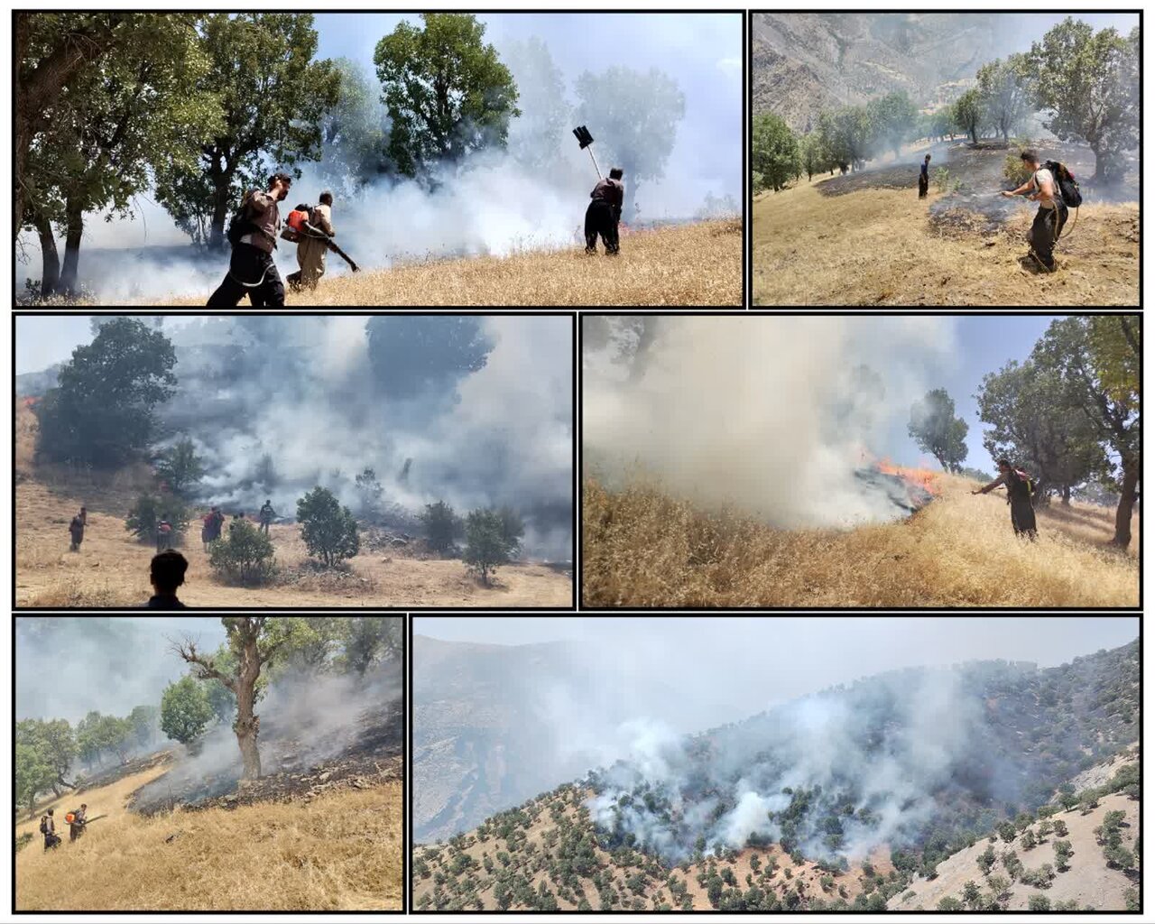 نبرد خاموش در دل آتش؛ تلاش نفسگیر برای مهار حریق در جنگلهای بانه