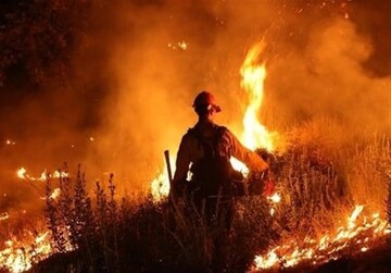 Wildfire shuts down airport in southern France