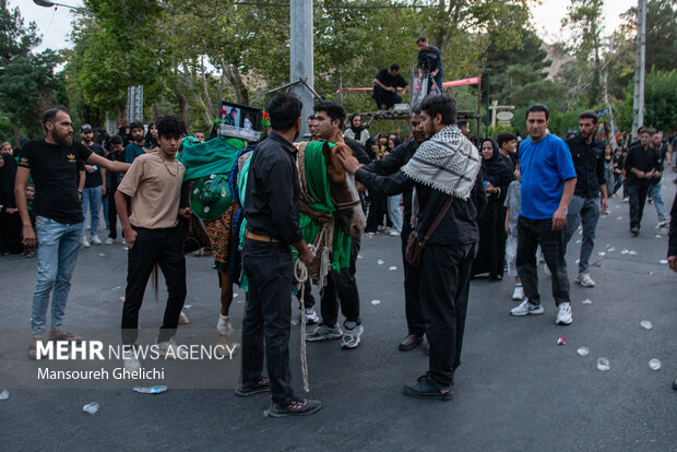 مراسم نخل گردانی شاهرود