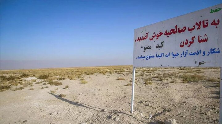 همه چیز درباره تالاب صالحیه؛ یکی از کانونهای ریزگرد نیازمند حق آبه