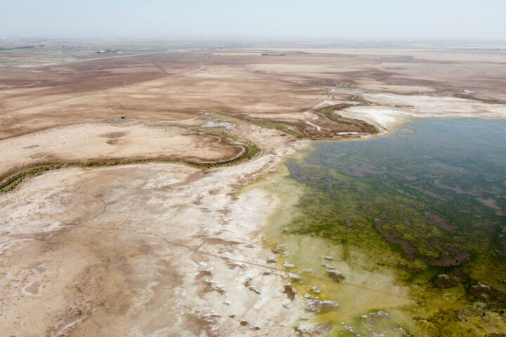 همه چیز درباره تالاب صالحیه؛ یکی از کانونهای ریزگرد نیازمند حق آبه