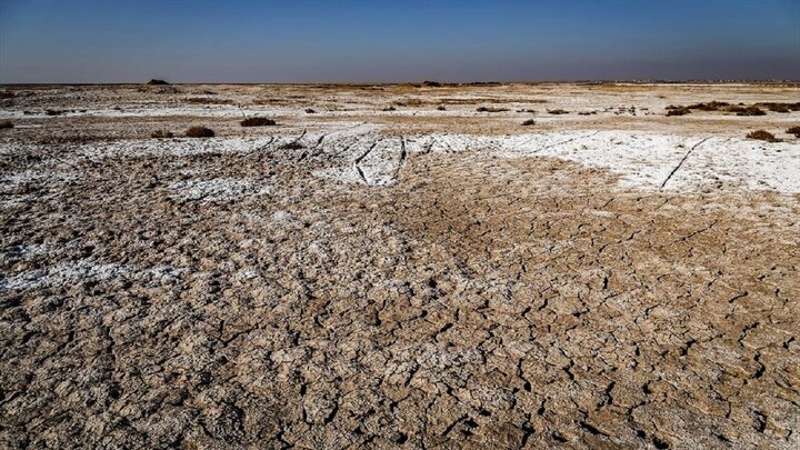 همه چیز درباره تالاب صالحیه؛ یکی از کانون‌های ریزگرد نیازمند حق آبه