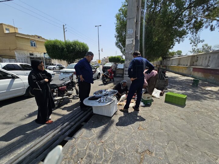 بلاتکلیفی بازار ماهی و میگوی دیر؛ دستفروشی غیربهداشتی زیر آفتاب سوزان