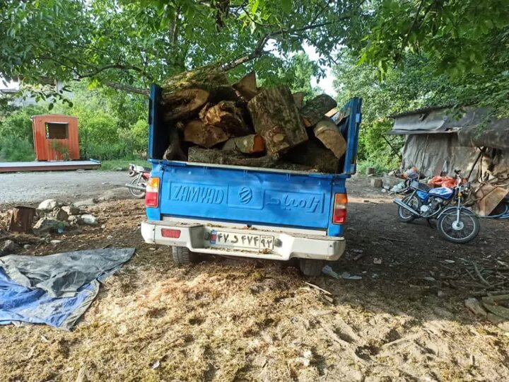 کشف ۸ استر چوب قاچاق جنگلی در نشتارود