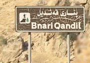 شاندی چەکداماڵینی پەکەکە ببینە