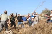 هجوم وحشي للمستوطنين الصهاينة على الفلسطينيين في الضفة الغربية