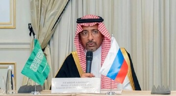 S. Arabia ready to develop partnership with Russian companies