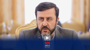 واکنش غریب آبادی به اظهارنظر صدراعظم آلمان درباره فعال شدن اسنپ بک