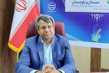 دهمرده: ۲ میلیون تن محصول پاییزه در سیستان و بلوچستان برداشت می شود