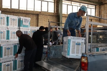 Iğdır'da İran klimalarına yoğun ilgi