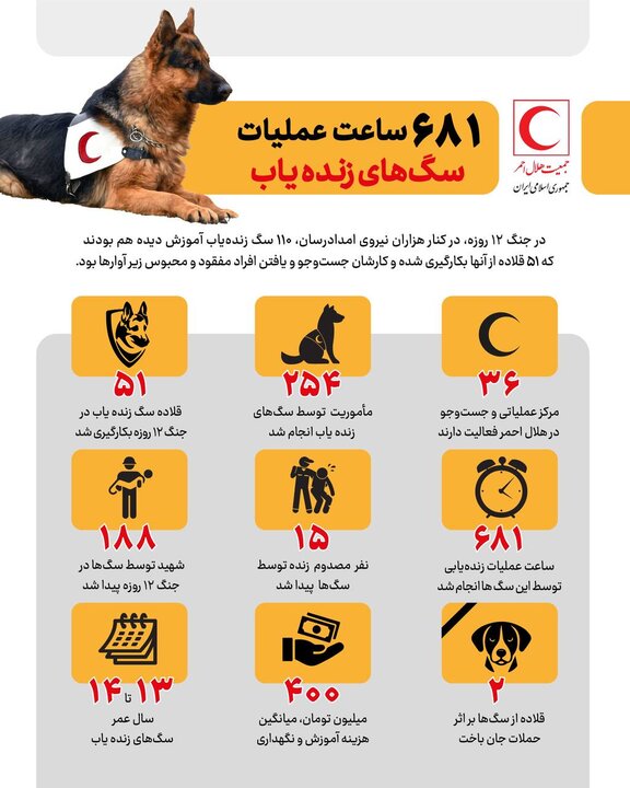 681 ساعت عملیات نجات با کمک سگهای زندهیاب در جنگ اخیر 2