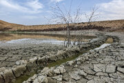 خشکسالی و تغییرات اقلیمی؛ تهدیدات جدی برای کشاورزی و زیست‌بوم کردستان
