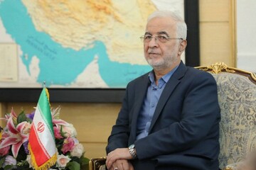 مومنی: تحمیل جنگ ۱۲ روزه به ایران باعث مقاومت حداکثری مردم شد