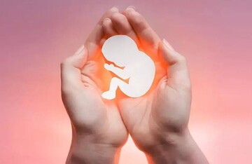 پیشگیری از سقط‌های عمدی جنین از عوامل موثر در جوانی جمعیت است