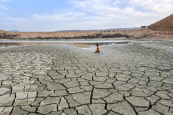 تاجبخش: بارورسازی ابرها خشکسالی را رفع نمی‌کند؛ رد ادعای «ابر دزدی»