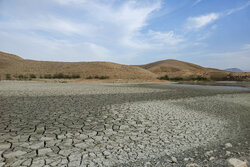 کاهش ۳۶ درصدی بارش‌ها در استان بوشهر؛ منابع آبی آب رفت