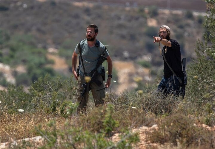 UK must hold Israel to account for settler violence in WB
