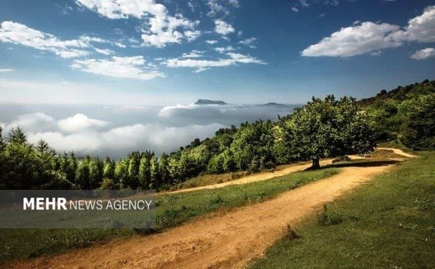 جنگل ۴۰میلیون ساله «ابر» جان میدهد؛ «دالان بهشت» در تسخیر آفرودسواران