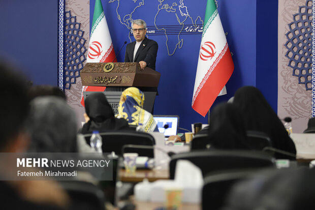 نشست خبری سخنگوی وزارت امور خارجه 31