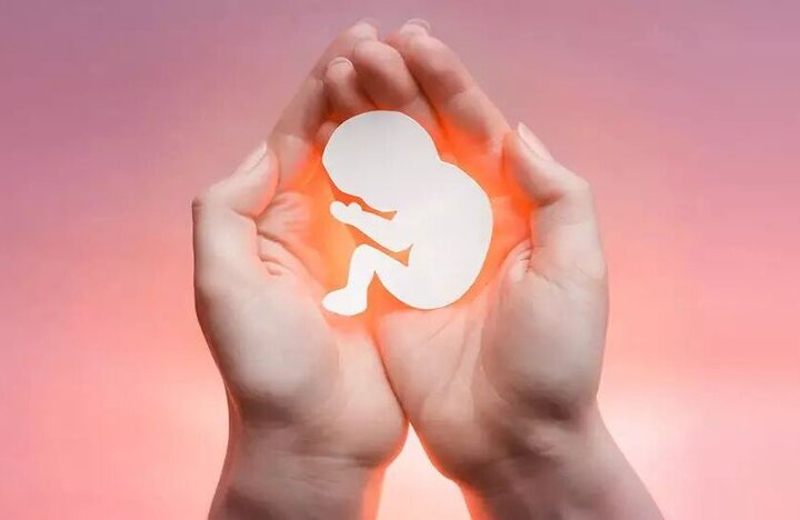 پیشگیری از سقطهای عمدی جنین از عوامل موثر در جوانی جمعیت است