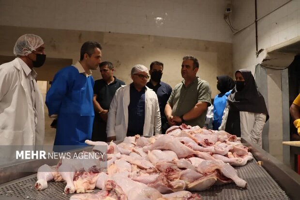 سرمایهگذاری ۲۵۰ میلیارد ریالی برای توسعه ظرفیت کشتارگاه مرغ سمنان