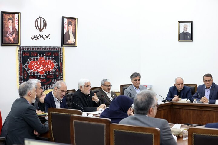 عارف بر جذب سرمایهگذاری ایرانیان خارج از کشور تأکید کرد