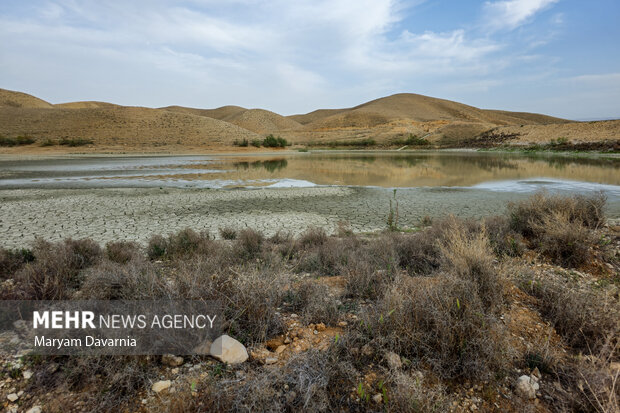 دشت قزوین در آستانه فروپاشی زیستی؛ زنگ خطر برای کشاورزی و صنعت