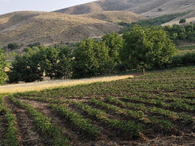 گزگزاره سفلی؛ تابلویی زنده از سنت، طبیعت و همت در قلب کردستان