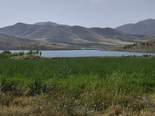 گزگزاره سفلی؛ تابلویی زنده از سنت، طبیعت و همت در قلب کردستان