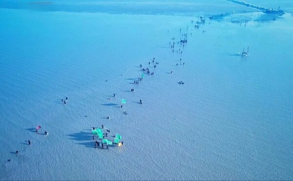 Irak'ta Erbain yürüyüşü başladı (+foto)