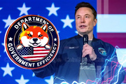 دولت یا شرکت تجاری؟؛ واکاوی علل شکست طرح DOGE ایلان ماسک در دولت ترامپ