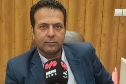 پلمب واحدهای کشتار غیرمجاز در دماوند؛ هشدارهای دامپزشکی به متخلفان