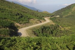 اجرای جاده ماسوله – خلخال منوط به طرح جامع و ارزیابی دقیق است