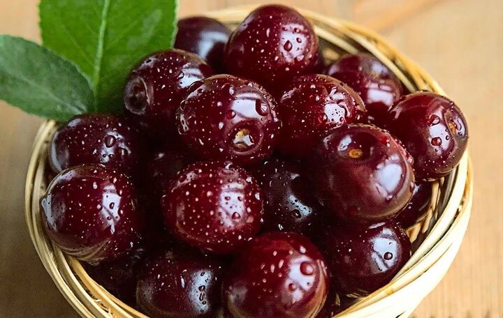 فواید شیرین یک میوه ترش برای قلب فواید شیرین یک میوه ترش برای قلب