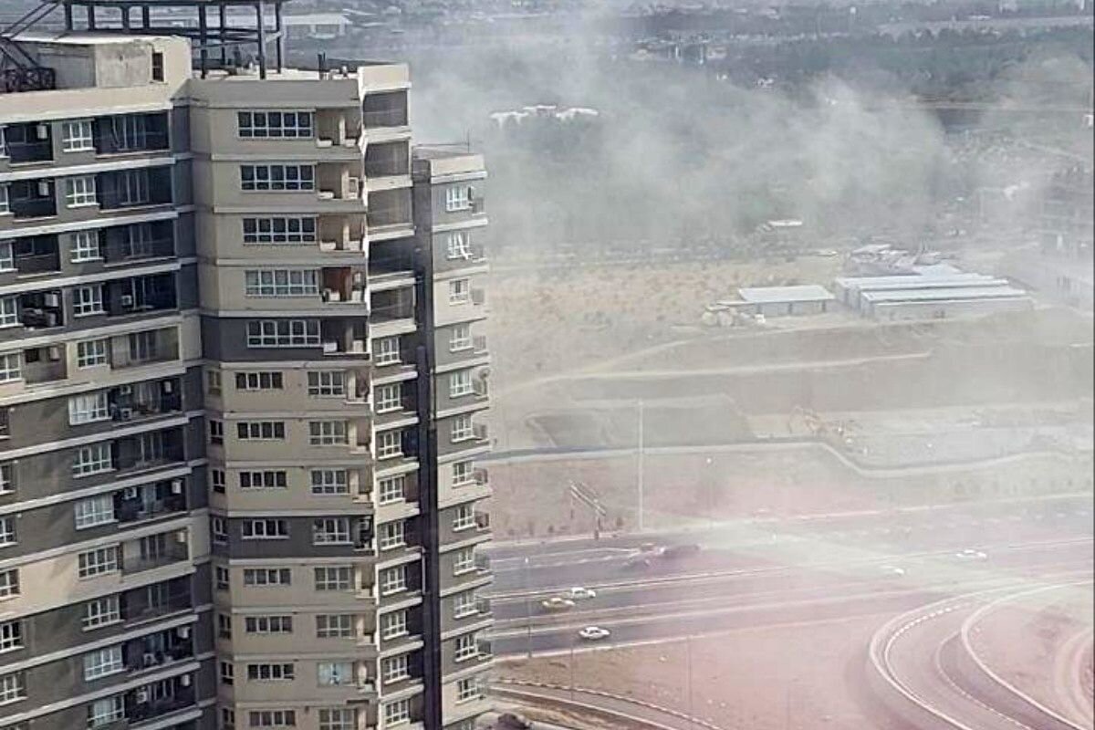 شاهدين،چيتگر